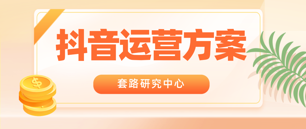 抖音运营方案介绍，让你每天收获大量的粉丝插图